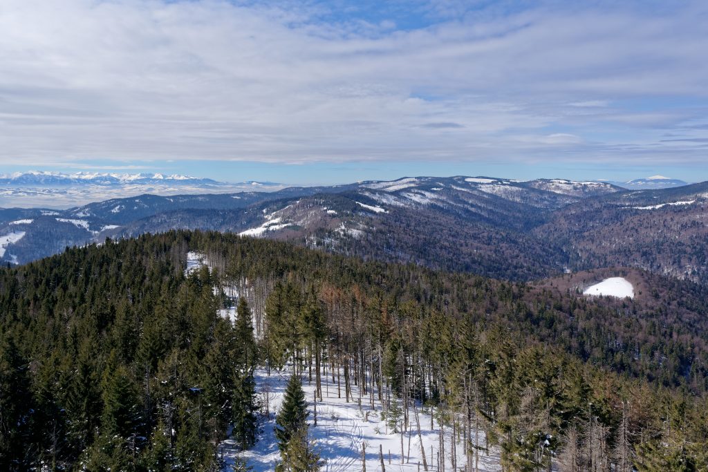 Widok z wieży na Gorcu