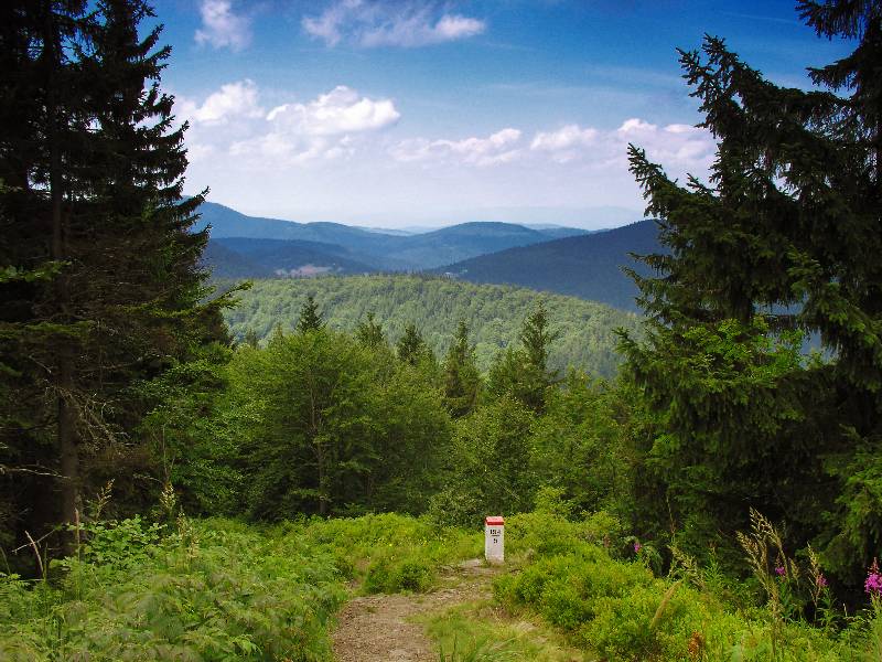 Wielka Rycerzowa, Beskid Żywiecki