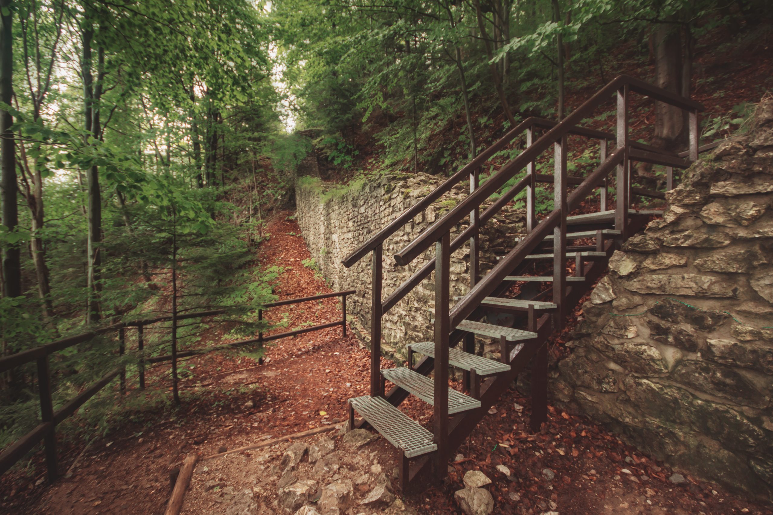 Zamek Pieniński, Pieniny